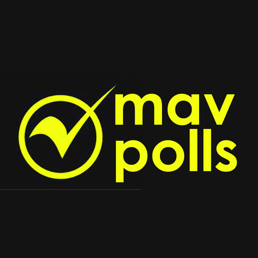 Mav Poll: Holiday activities