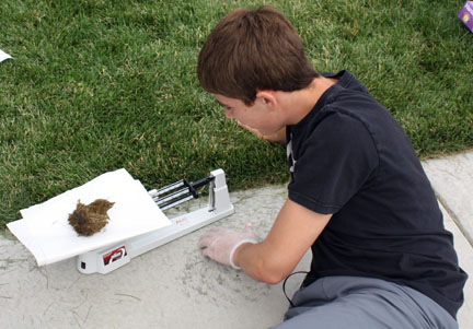 Kellen Filby, 10, weighs his pile of excrement before examining it. The experiment allowed students to get a better perspective on ecology and the digestive system. Photo by J. Nave