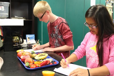 Juniors Joey Schumock and  Elise Bunting work on a  fruit lab in Jay Super's Plant and Animal Science class Wednesday.
