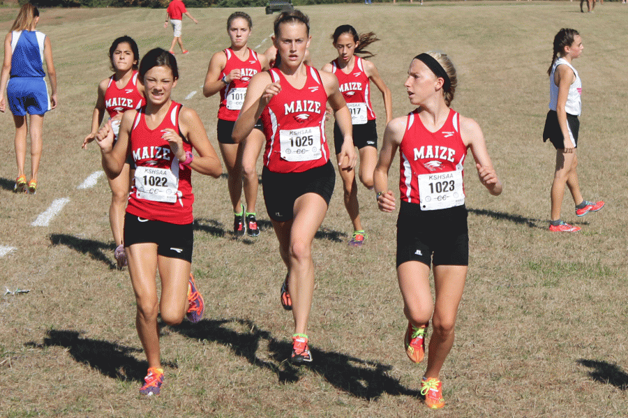 Cross country runs toward state titles