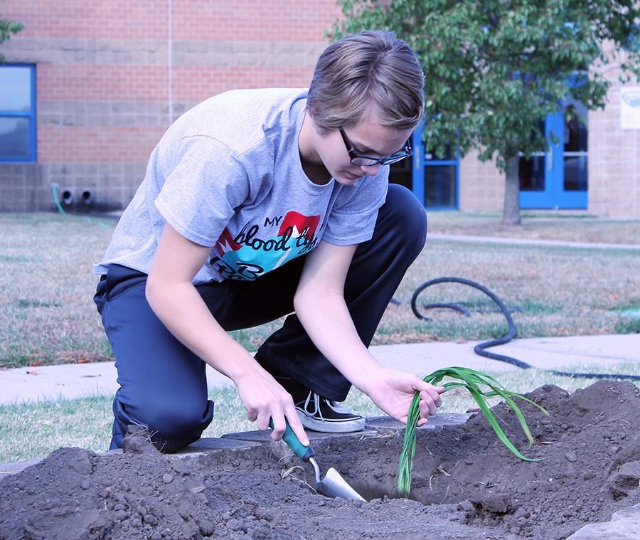 SADD club plants flowers to encourage staying above the influence