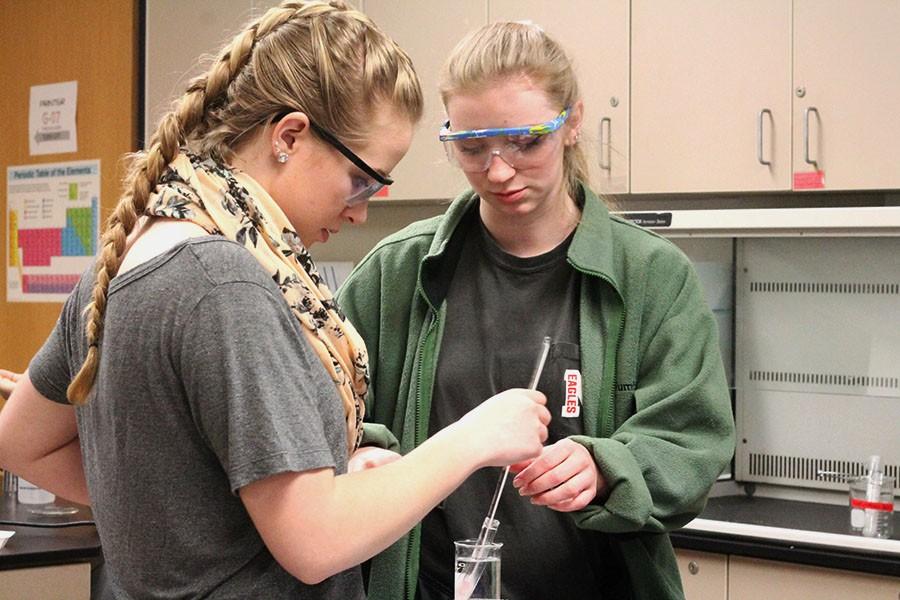 Junior Parker Raile and senior Madison Fitzmier work together on a chemistry lab assignment in Jessica Fishers chemistry II honors class. In this lab students try to form towers out of a solution