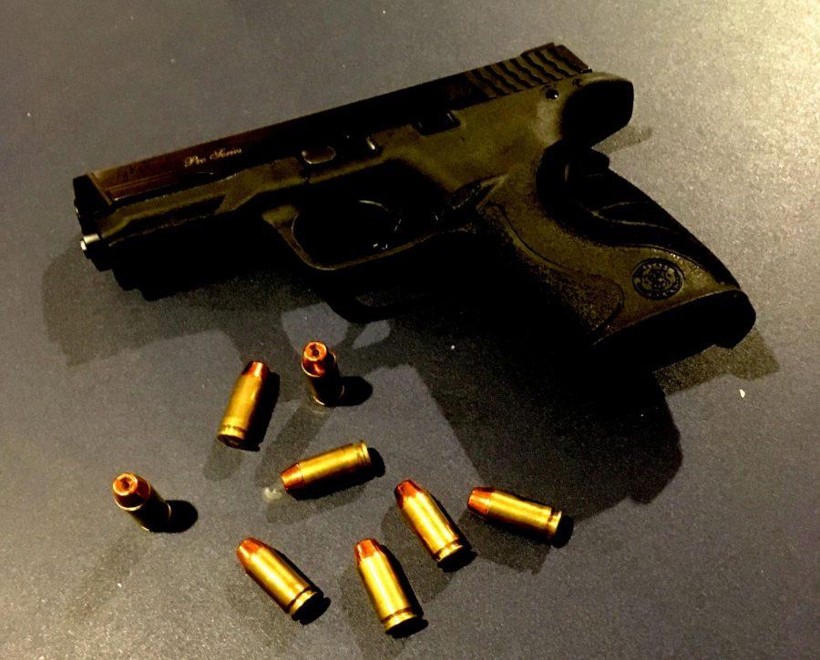 Standard teacher carry is S/W .40 as shown, or Glock 19, 9 mm, commonly used by law enforcement.