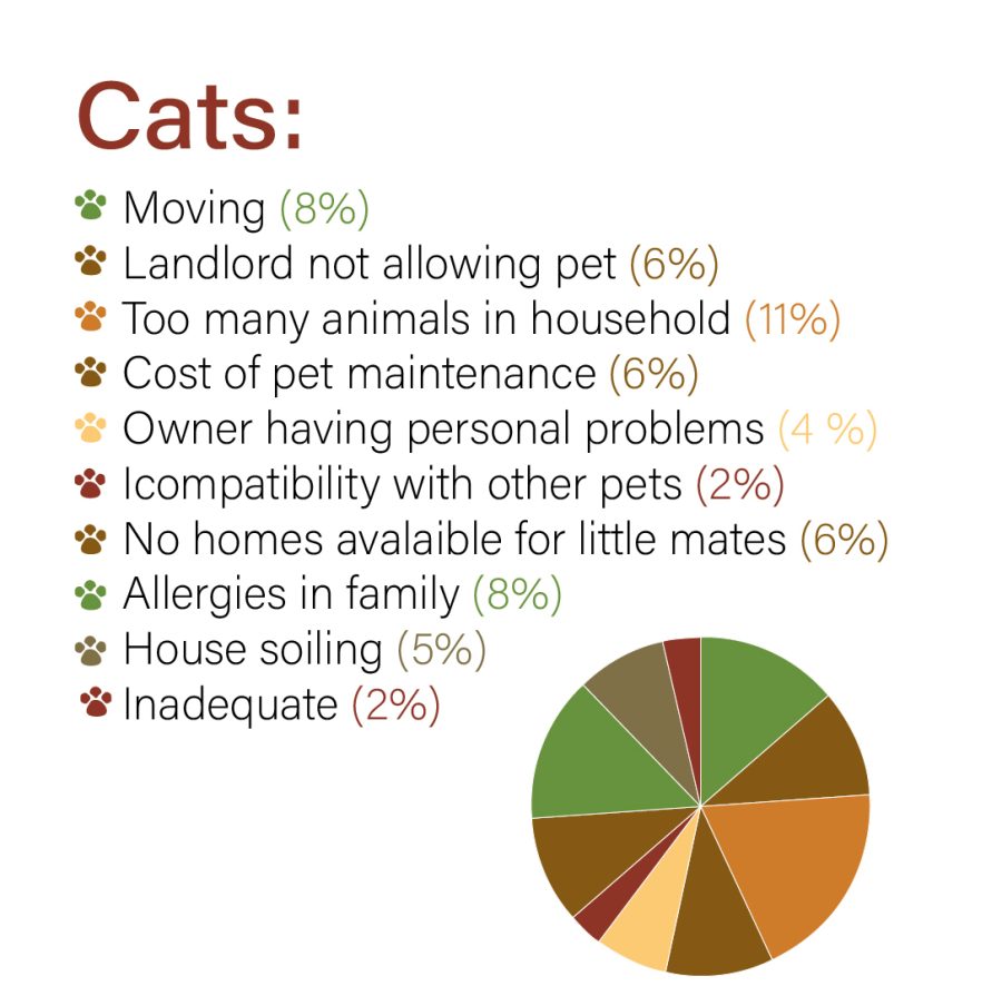 Although similar to that of dogs, cats are surrendered just as often as dogs to animal shelters. Surrendering an animal can be the best decision in terms of animal welfare, but it still has its faults. (Graphic by Mariana Garzon)