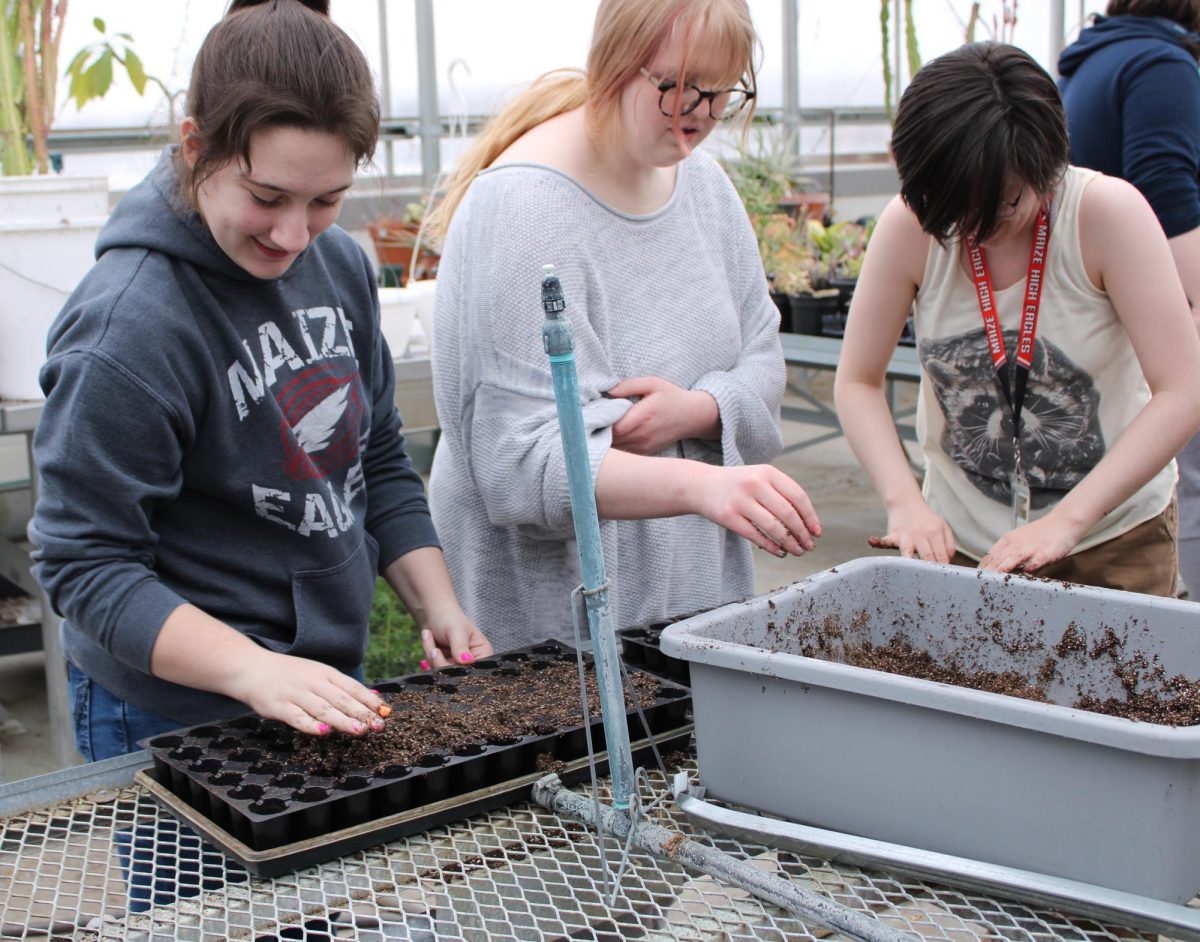 Maize High Sophomore Kylie Frisk, Junior Nola Olien, and Senior Devyn O’Grady fill trays with germination soil. The class was preparing for seed planting.