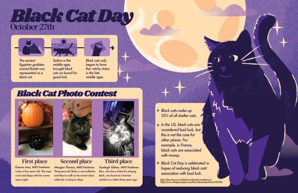 Infographic about Black Cat Day on October 27th.