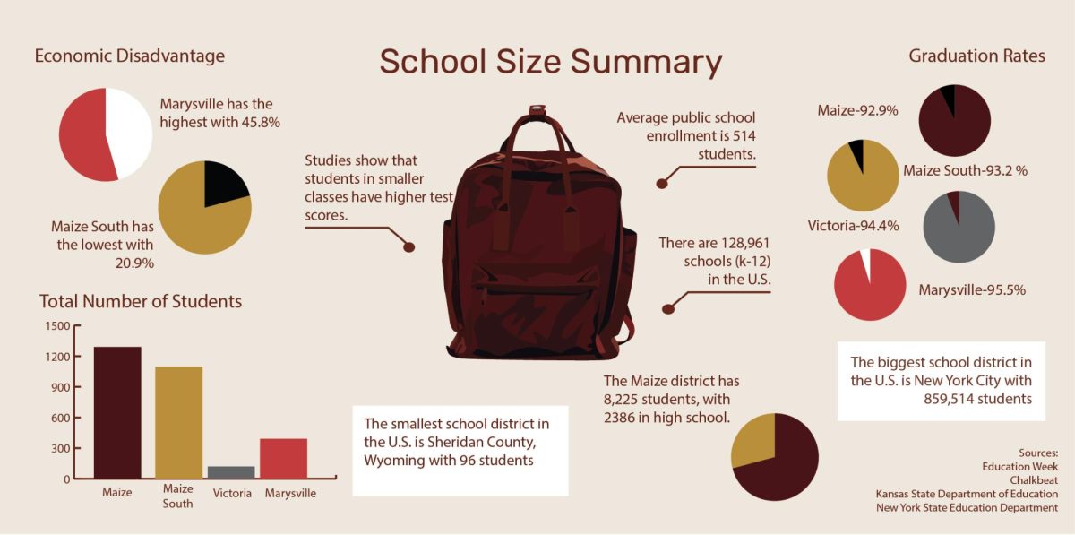 Infographic comparing demographics of Kansas's big and small schools