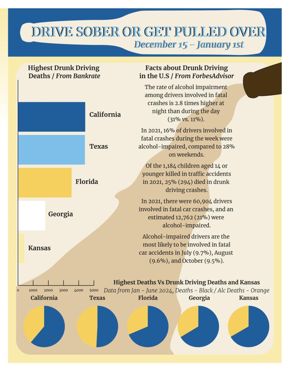 Infographic for Drive Sober or Get Pulled Over Month that runs from December 15th-January 1st.