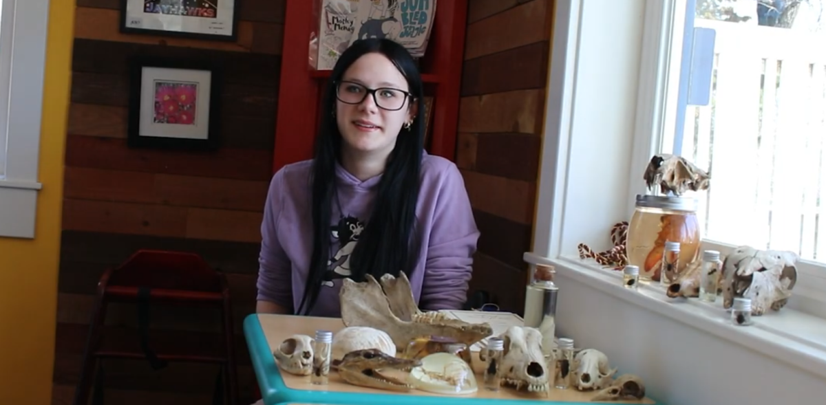 Senior's interest in taxidermy opens opportunity for careers in medicine